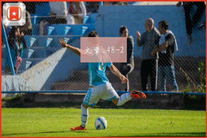 文章_48