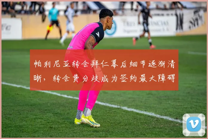 帕利尼亚转会拜仁幕后细节逐渐清晰，转会费分歧成为签约最大障碍