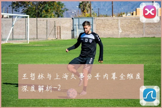 王哲林与上海久事分手内幕全维度深度解析