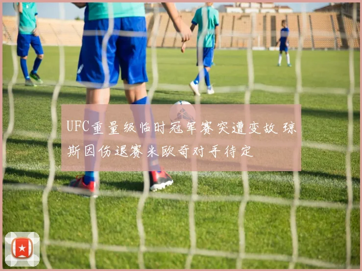 UFC重量级临时冠军赛突遭变故 琼斯因伤退赛米欧奇对手待定