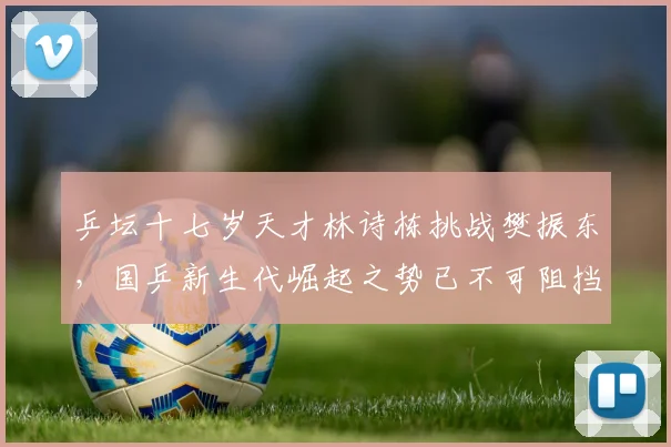 乒坛十七岁天才林诗栋挑战樊振东,国乒新生代崛起之势已不可阻挡