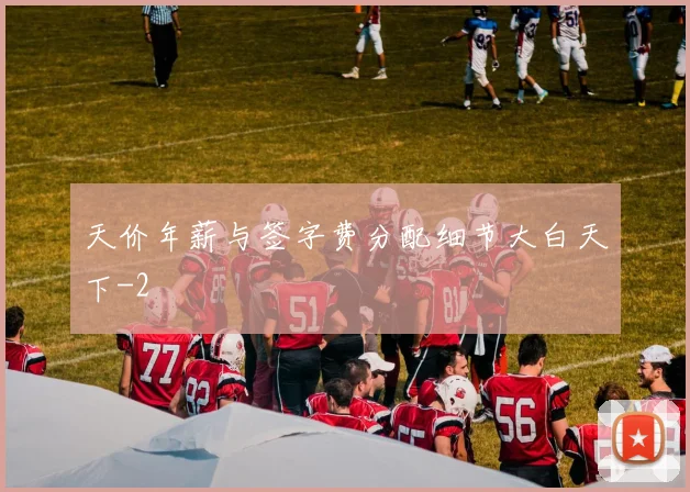 天价年薪与签字费分配细节大白天下