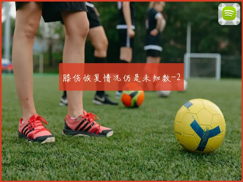 膝伤恢复情况仍是未知数